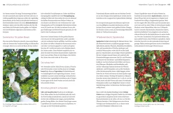 Altes Gärtnerwissen wieder entdeckt