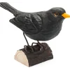 Amsel Lindenholz handgeschnitzt