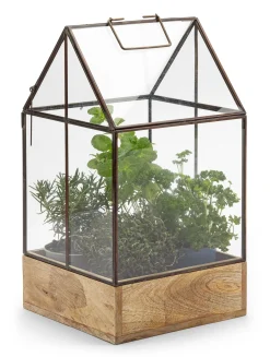 Anzuchtgewächshaus Glas