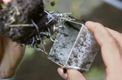 Anzuchtplatte mit Einzeltöpfen