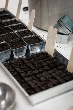 Anzuchtplatte mit Einzeltöpfen