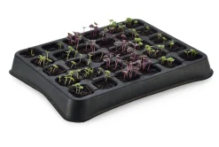 Anzuchtplatte Naturkautschuk