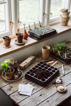 Anzuchtplatte Naturkautschuk