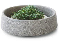 Anzuchtschale für Microgreens