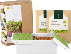 Anzuchtset Microgreens
