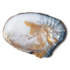 Armband Süßwasserperlen