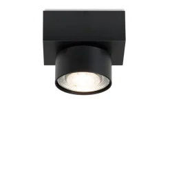 Aufbaustrahler Wittenberg