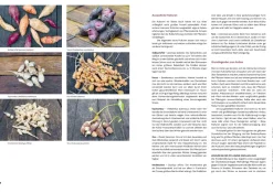 Ausgegraben - Süßkartoffel, Yacon & Co.