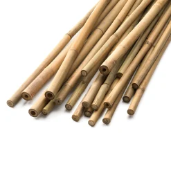 Bambusstäbe