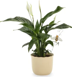 Übertopf Heritage beige