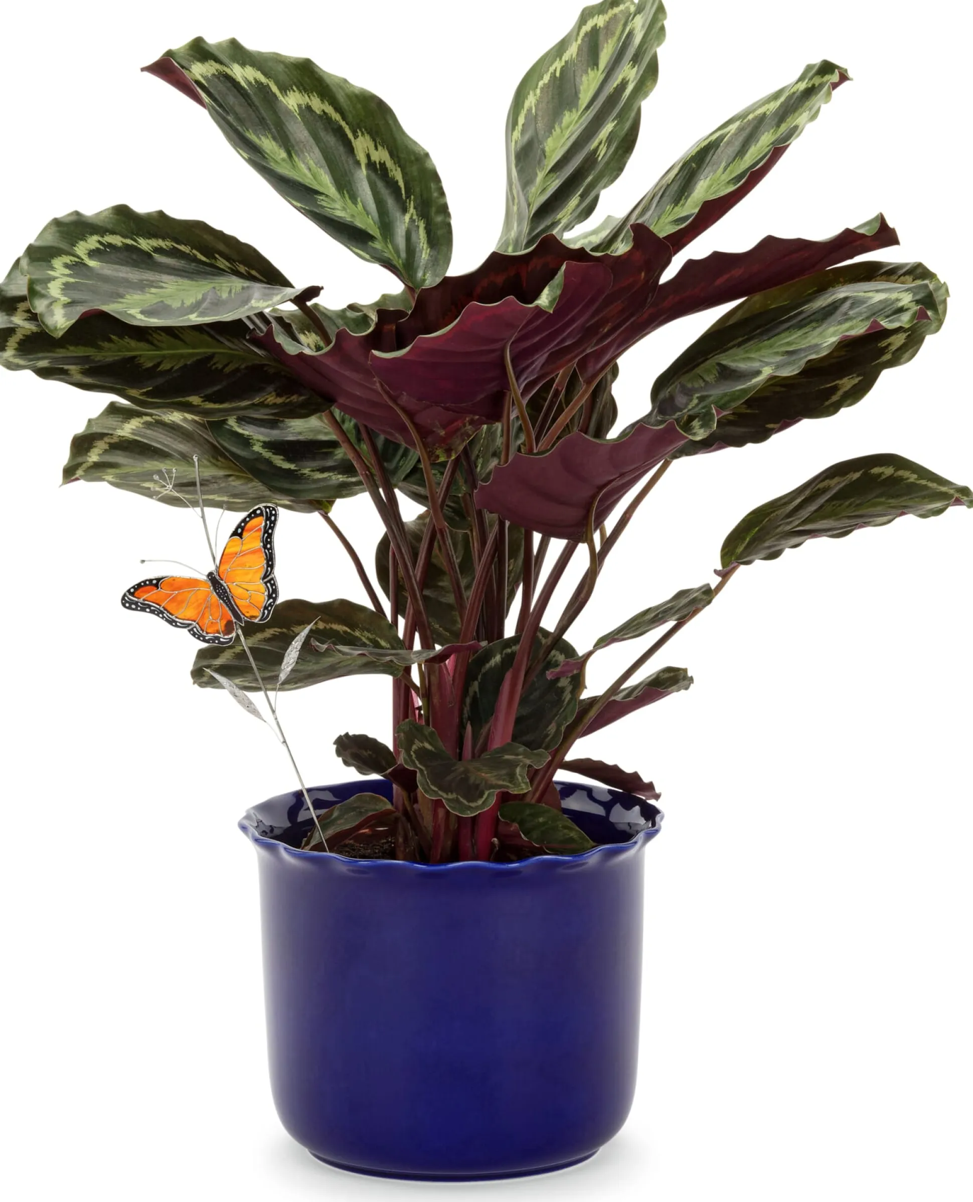 Übertopf Heritage kobaltblau