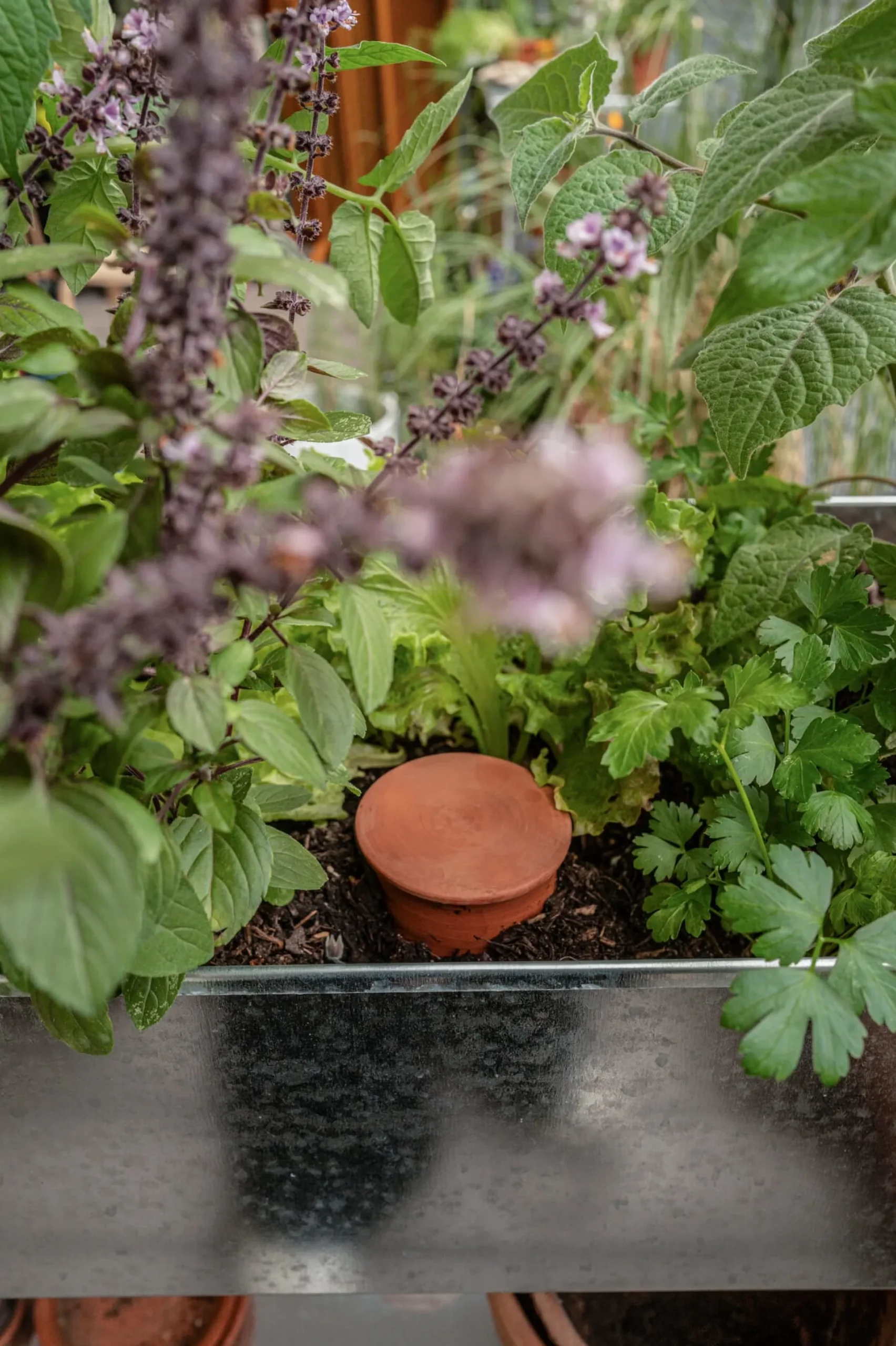 Bewässerungstopf für Pflanzkübel