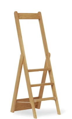 Bibliotheksleiter Eichenholz