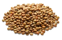 Bio-Alb-Leisa Späth’s Alblinse klein