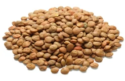 Bio-Alb-Leisa Späth’s Alblinse groß