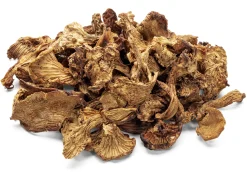 Bio-Pfifferlinge getrocknet