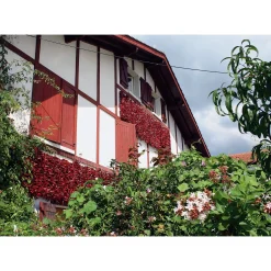 Bio-Piment d’Espelette