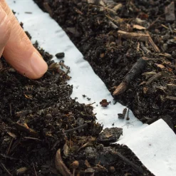 Bio-Saatband Knabbergemüse