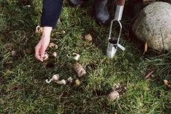 Blumenzwiebelpflanzer Edelstahl