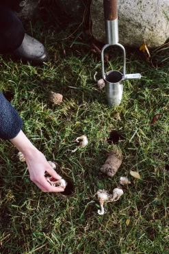 Blumenzwiebelpflanzer Edelstahl