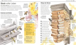 Das Bienen Buch