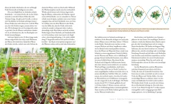 Das große Boden-Handbuch