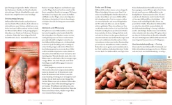 Das große Boden-Handbuch