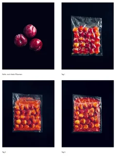 Das Noma-Handbuch Fermentation