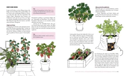 Das phänomenale Erntebeet