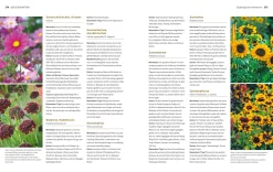 Der Biogarten - Das Original