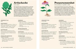 Die pflanzliche Hausapotheke