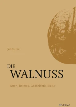 Die Walnuss
