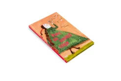 Dinge, die vorübergehen