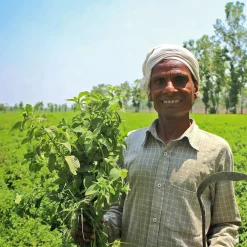 Dr. Bronner’s Duschgel