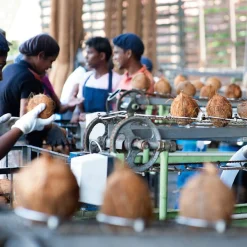 Dr. Bronner’s Duschgel