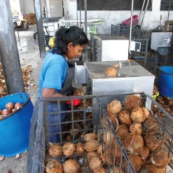 Dr. Bronner’s Duschgel