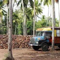 Dr. Bronner’s Seifen