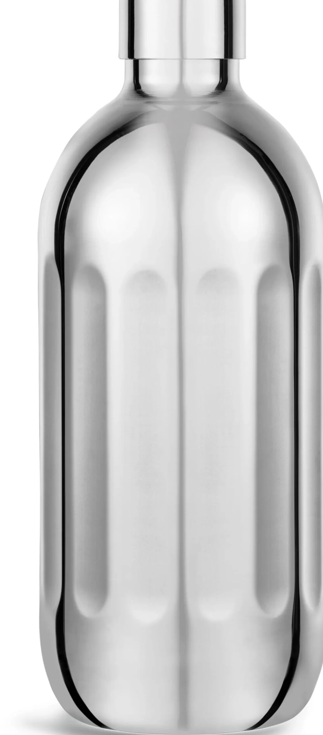 Edelstahlflasche zu Wassersprudler Carbonator Pro