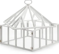 Englische Frühbeetglocke