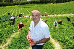Erdbeer-Fruchtaufstrich aus Südtirol