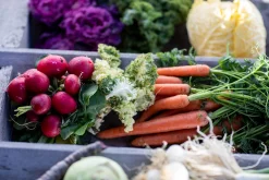 Ernte mich im Winter