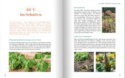 Erntewunder trotz Wetterchaos