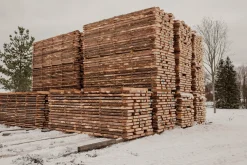 Faltsessel Erlenholz