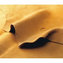 Fensterleder altsämisch