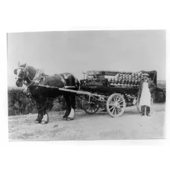 Fentimans Curiosity Cola