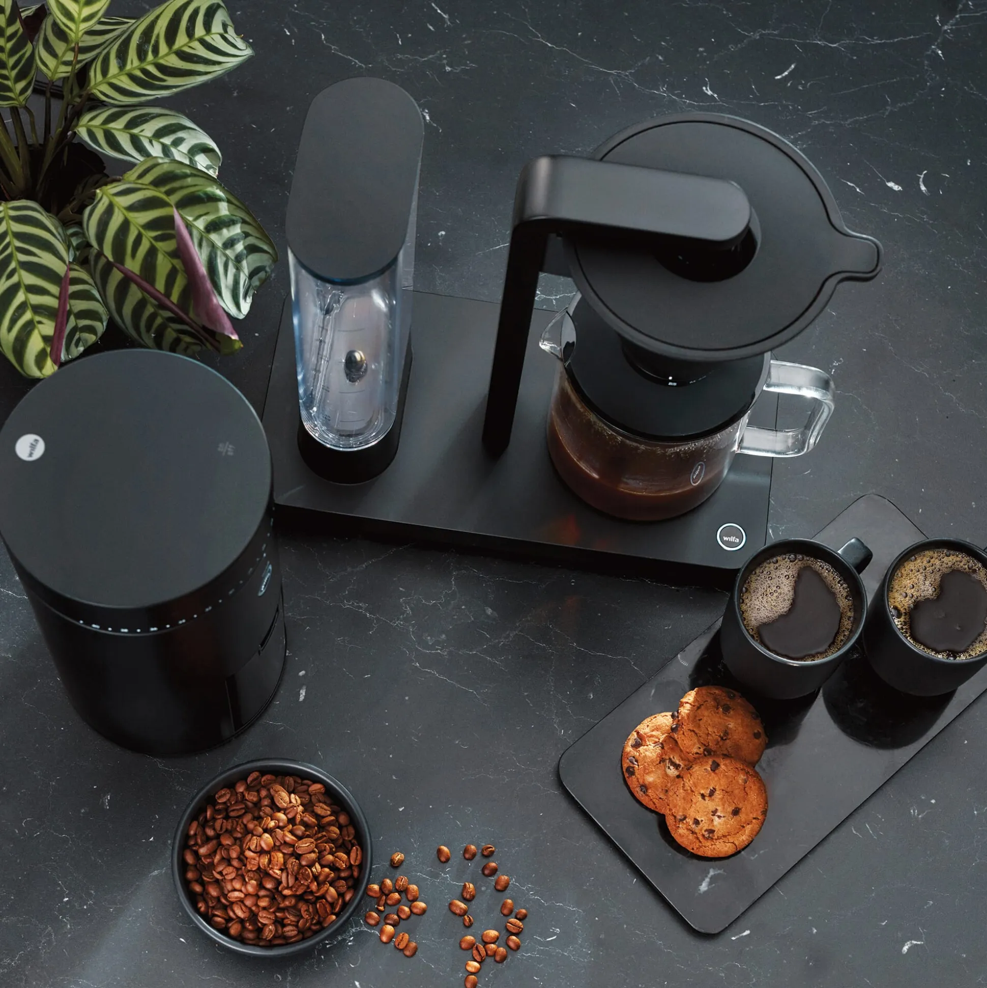 Filterkaffeemaschine WSPL Performance