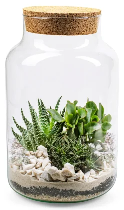 Flaschengarten mit Substrat