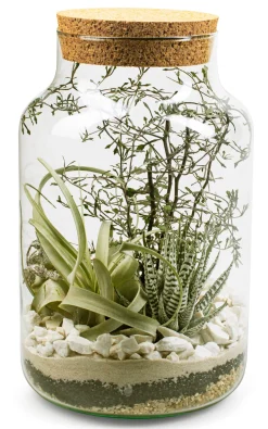 Flaschengarten mit Substrat