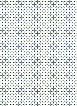 Florentiner Papier Varese & Tampone