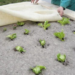 Frostschutzvlies Schafwolle